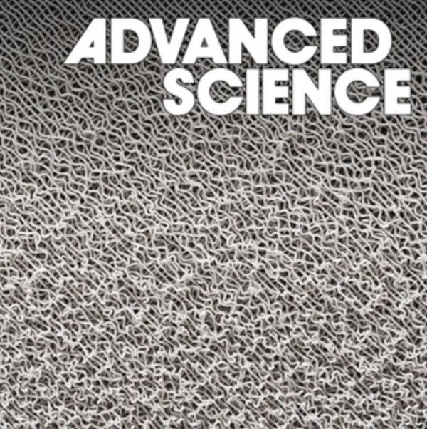 Advanced Science journal cover featuring a viscous thread printed foam